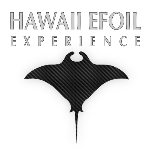 Hawaii eFoil Experience