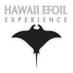 Hawaii Efoil Experience