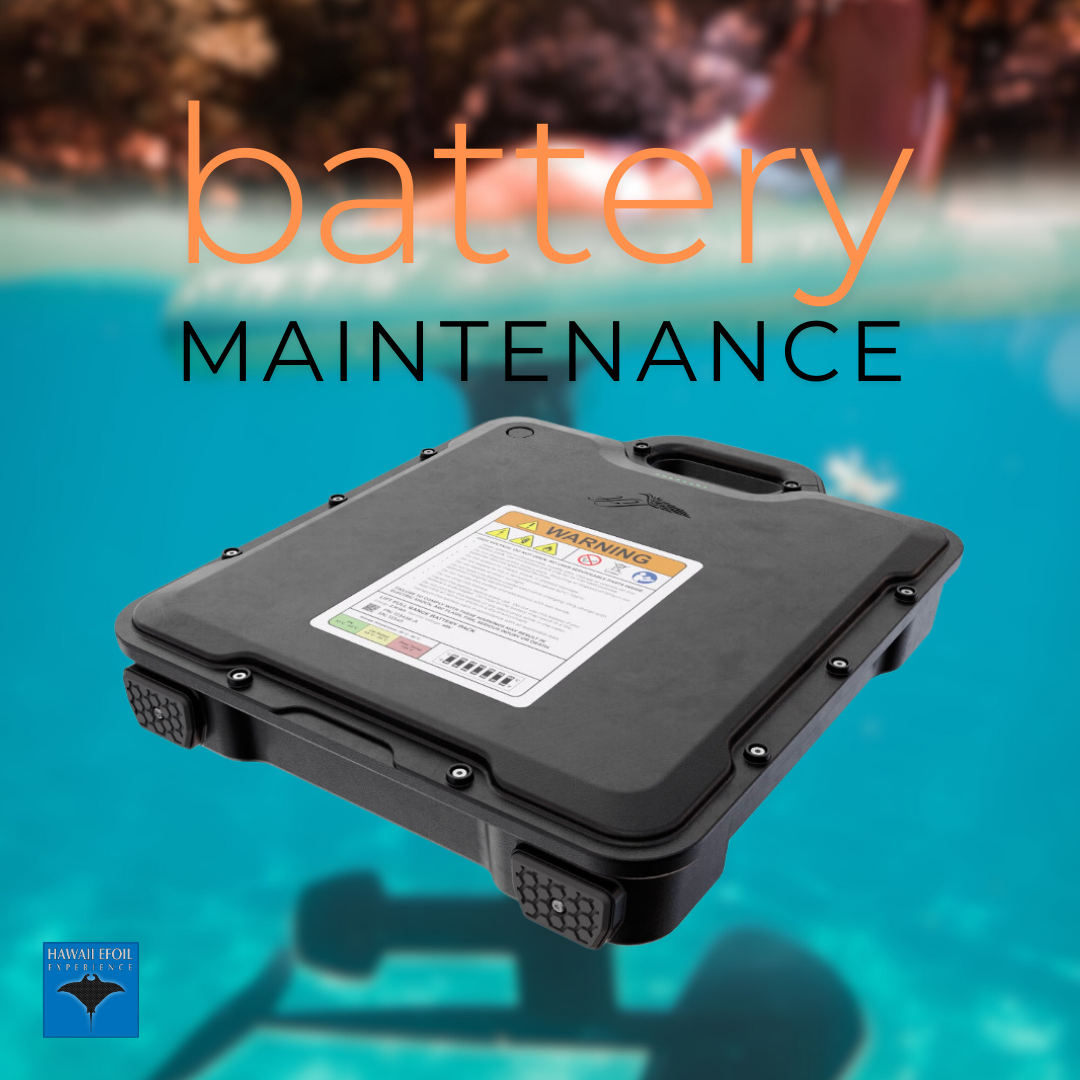 Battery_Maintenance graphical user interface, website